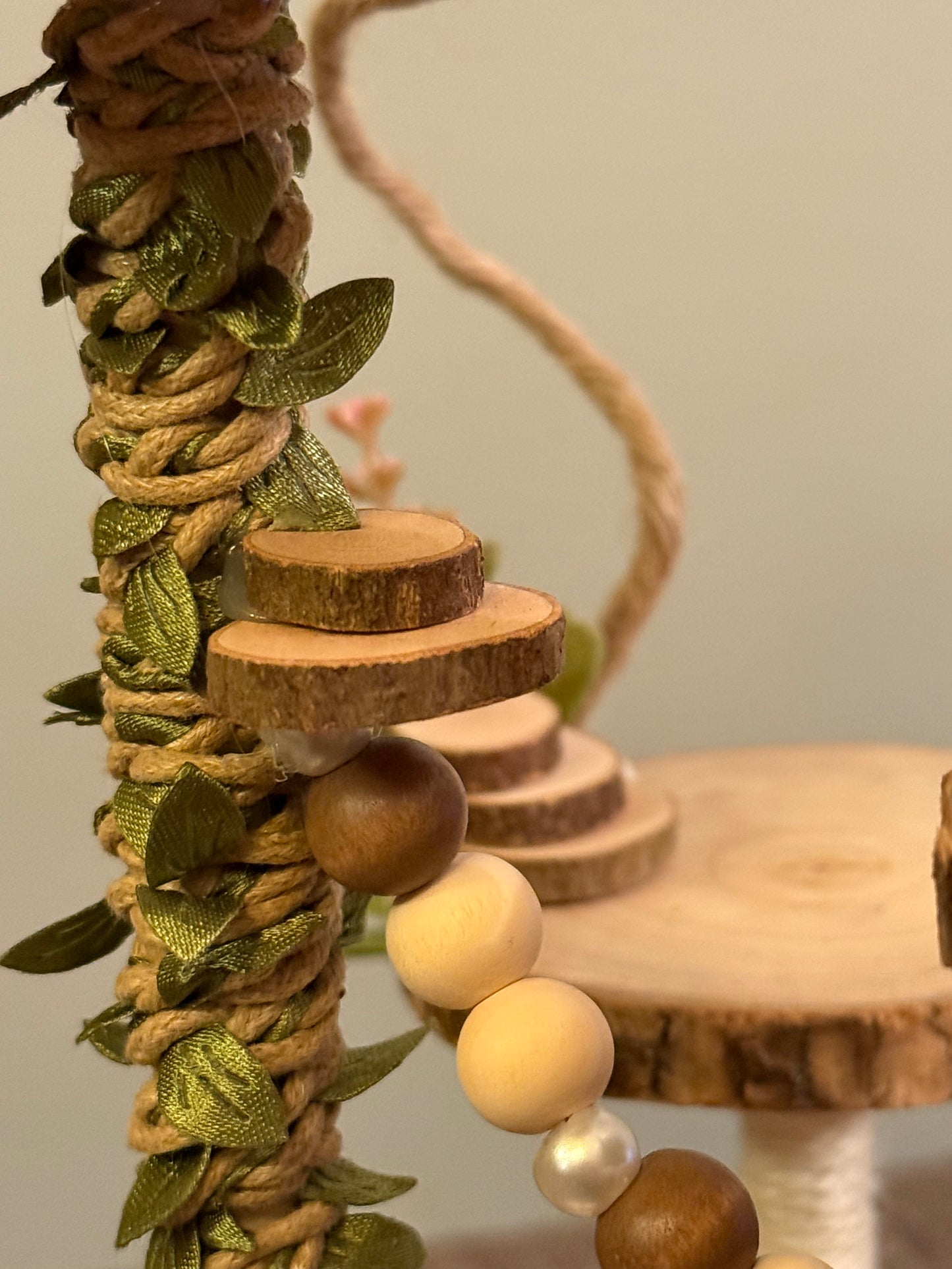 Fairy Garden Jumping Spider Playground - Medium (7x5x13)