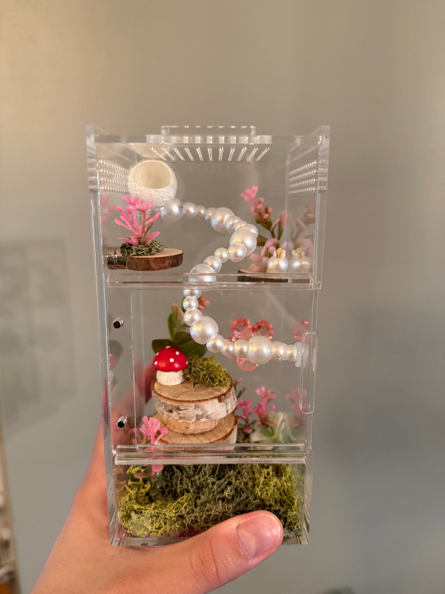 Pink Fairy Garden Flower Enclosure - Juvenile (3x3x6)