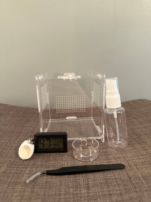 Jumping Spider Starter Kit