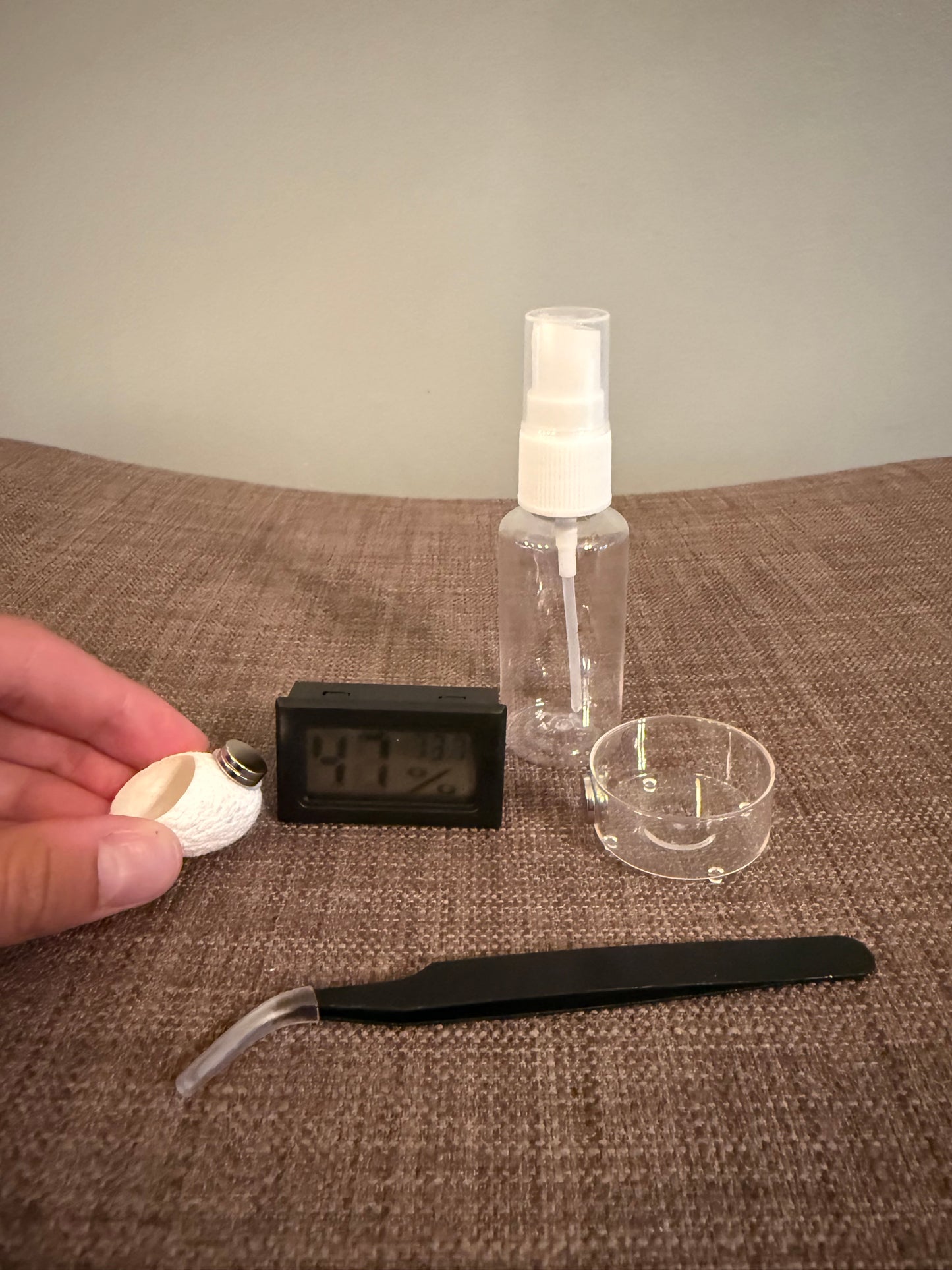 Jumping Spider Starter Kit