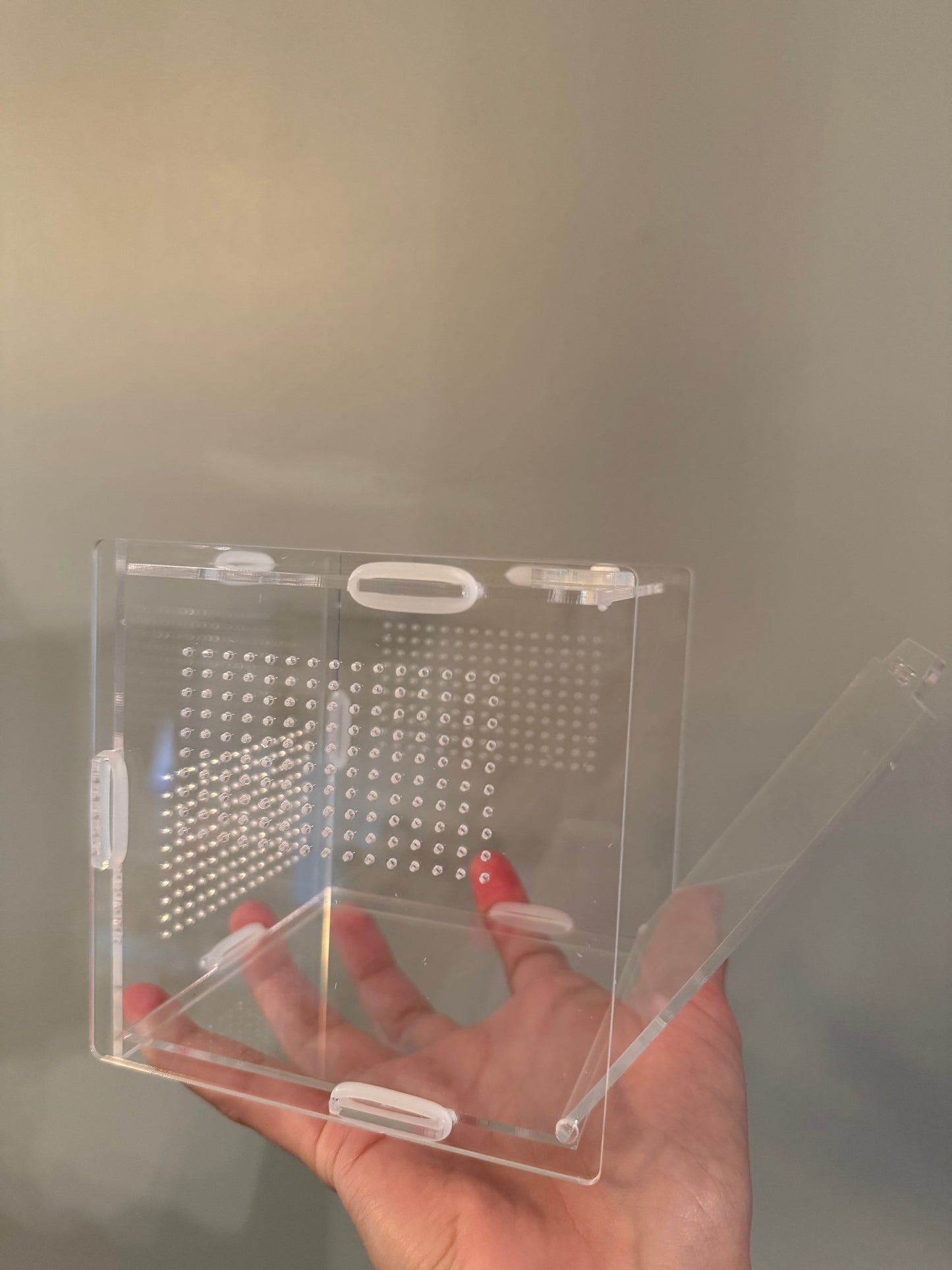 Jumping Spider Starter Kit